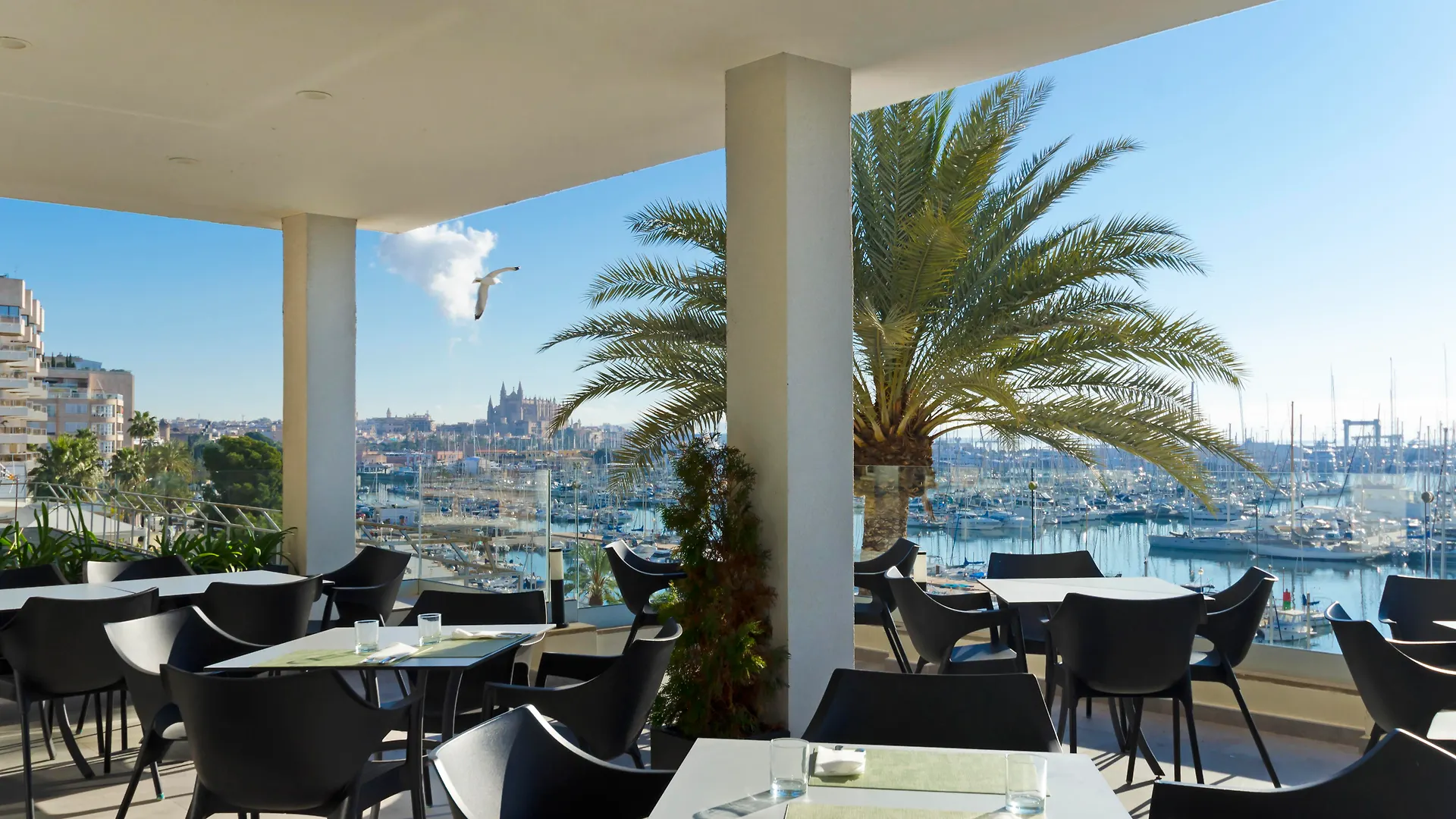 ****  Hotel Mirador Palma di Maiorca Spagna